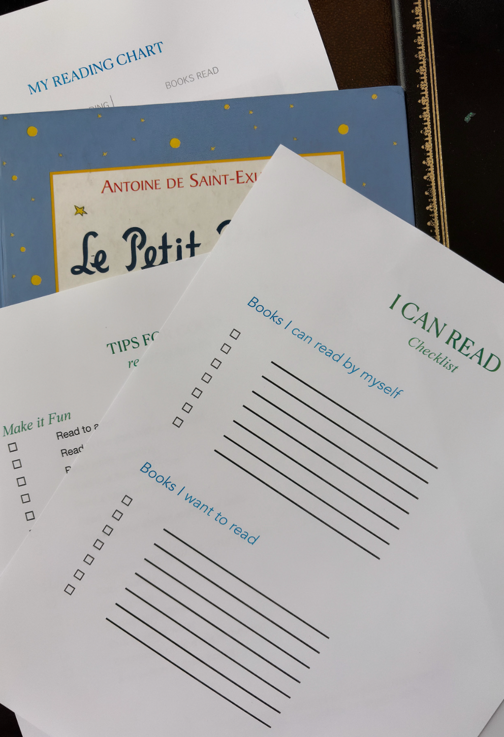 Kinder Reading Book List and Checklists PDF